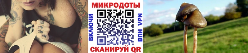 Галлюциногенные грибы мухоморы  гидра как войти  Верхотурье 